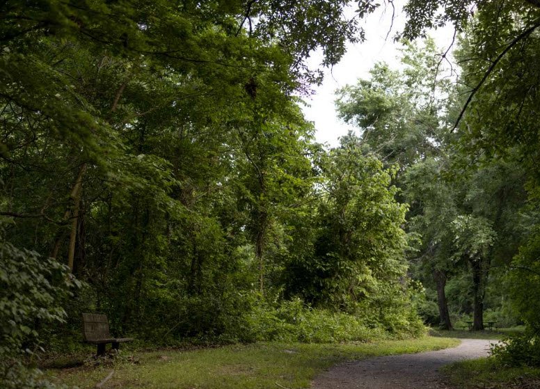 Marberry Arboretum , United States